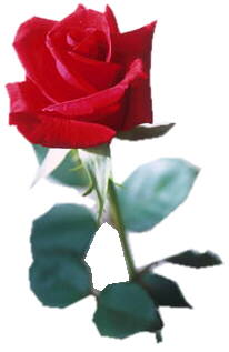 sch&ouml;ne Gedichte